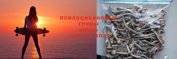 бошки Богданович