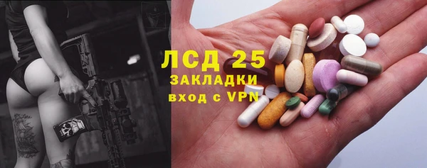 бошки Богданович