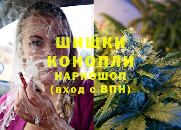 бошки Богданович