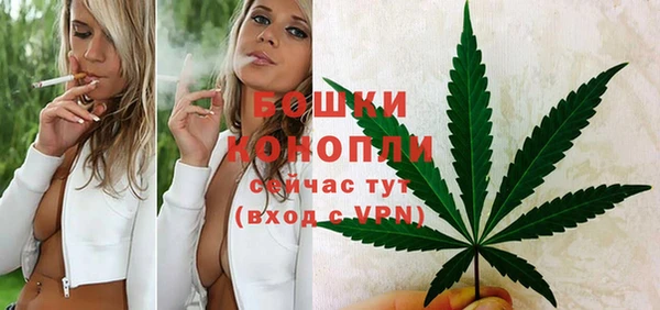 прущий лед Богородск